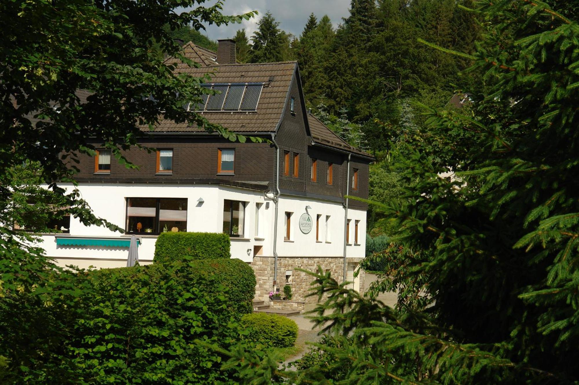 ホテル Haus Hesseberg メーデバッハ エクステリア 写真